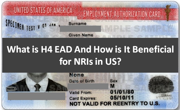 What is H4B Visa, H4b visa, Dependent Visa