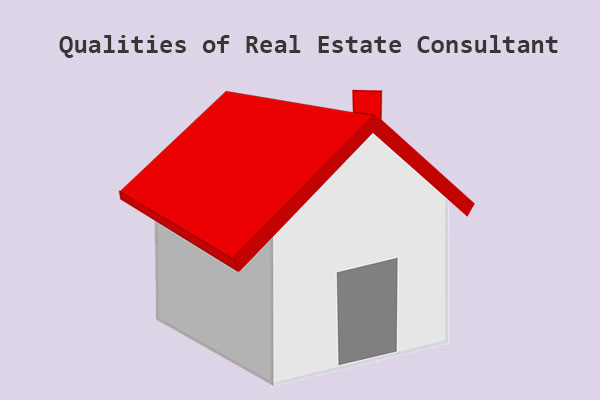 Real-Estate-Consultant1